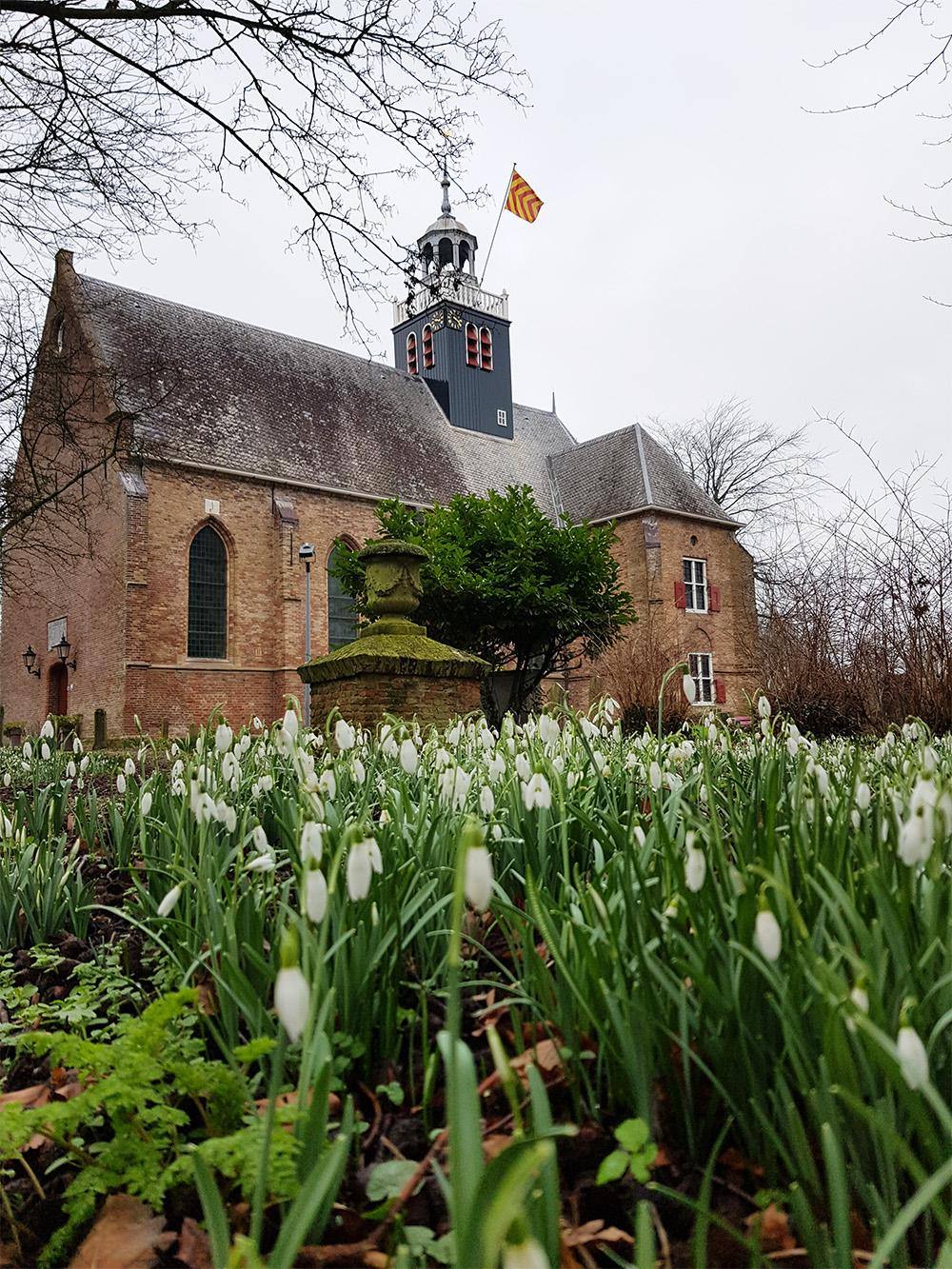 Zee van sneeuwklokjes aan de voet van de Slotkapel in Egmond aan den Hoef